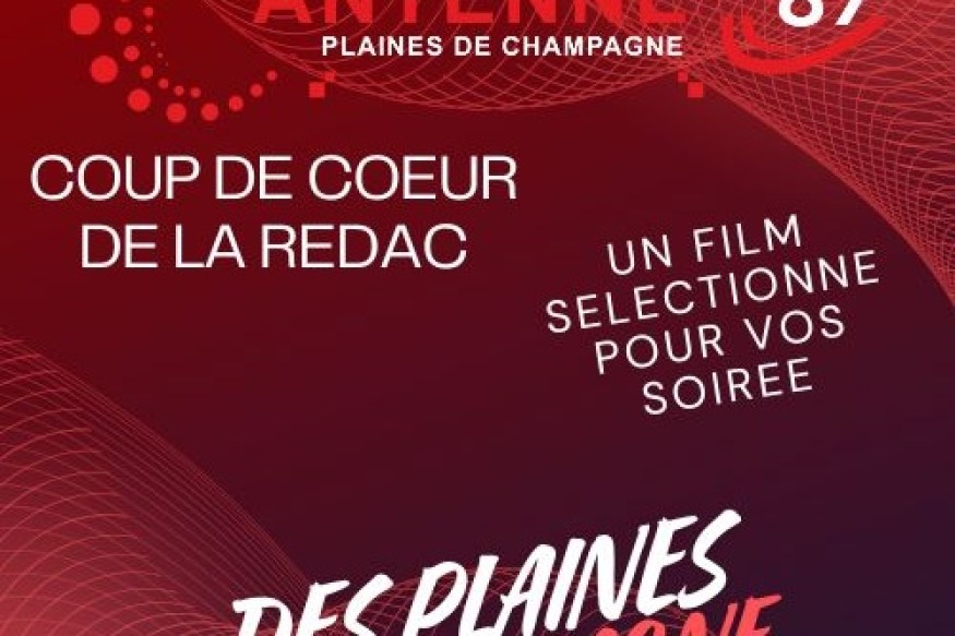 Les plaines de Champagne : quand l’agriculture moderne façonne un territoire essentiel du Grand Est