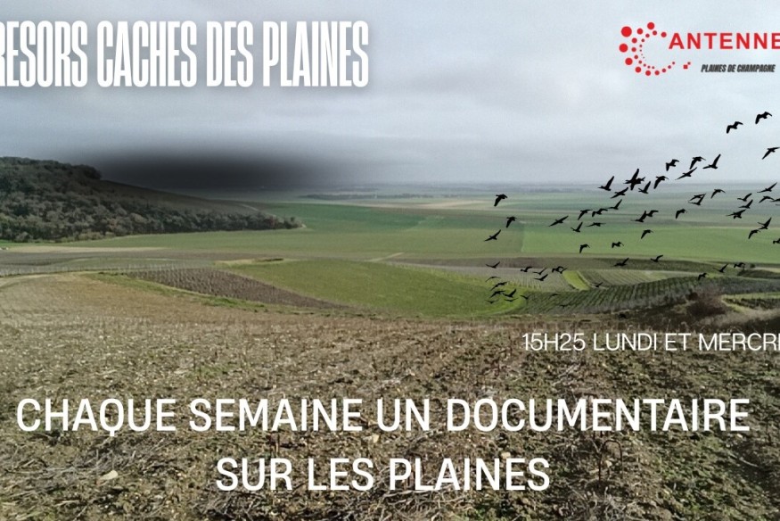 Rdv la semaine pro à 15h25