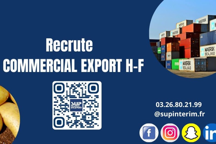 Sézanne : SUP INTERIM recrute un commercial export en CDI