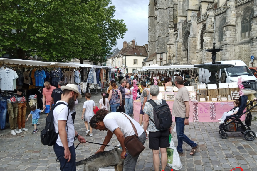 Le Marché de Printemps de retour à Sézanne le 6 juin 2026